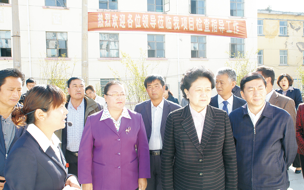 时任中央政治局委员，，，，，国务院副总理、党组成员刘延东视察湖北万赢娱乐集团青海项目部
