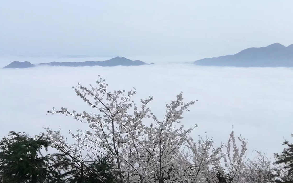 万赢娱乐(中国区) - 官方网站