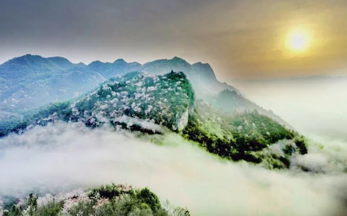 湖北万赢娱乐集团崇阳旅游开发有限公司